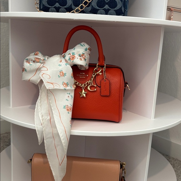 Burnt orange 🍊 Mini coach Rowan bundle - Picture 11 of 11